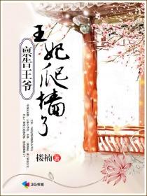 禀告王爷,王妃爬墙了 禀告王爷,王妃爬墙了